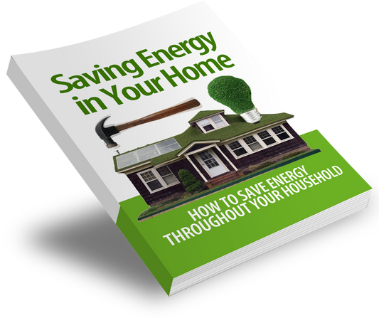 Saving Energy In Your Home eBook