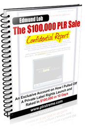 The $100K PLR Sale eBook