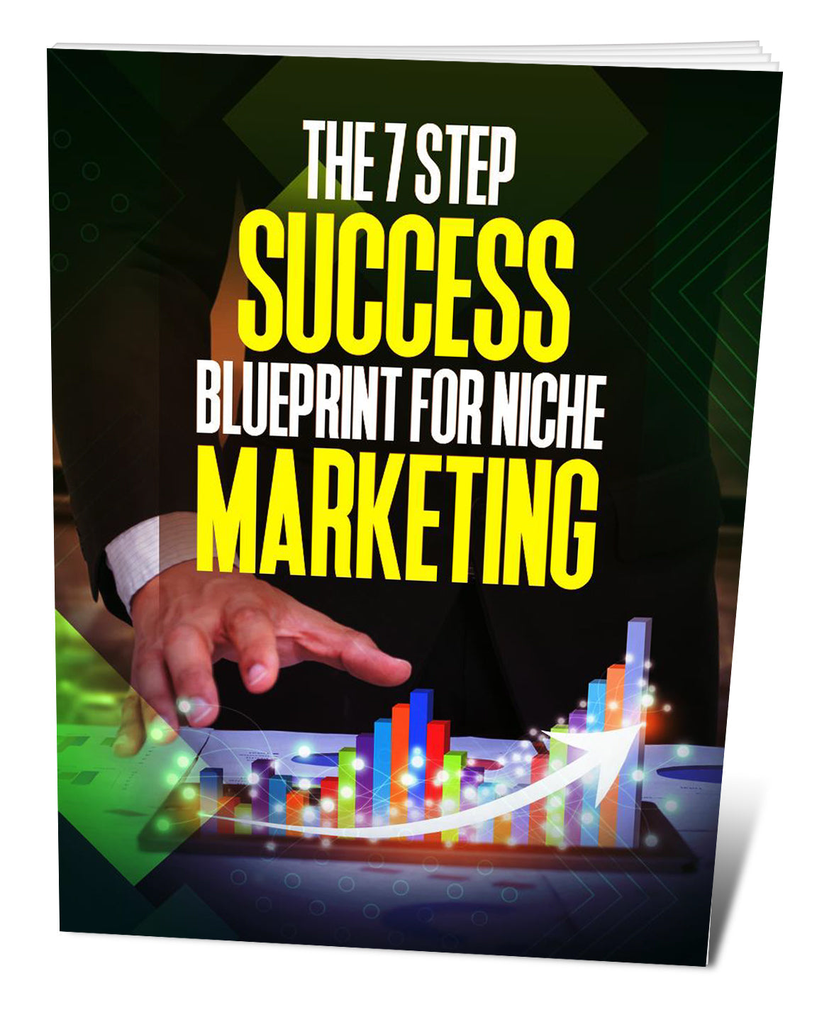 The 7 Step Success Blueprint For Niche Marketing eBook