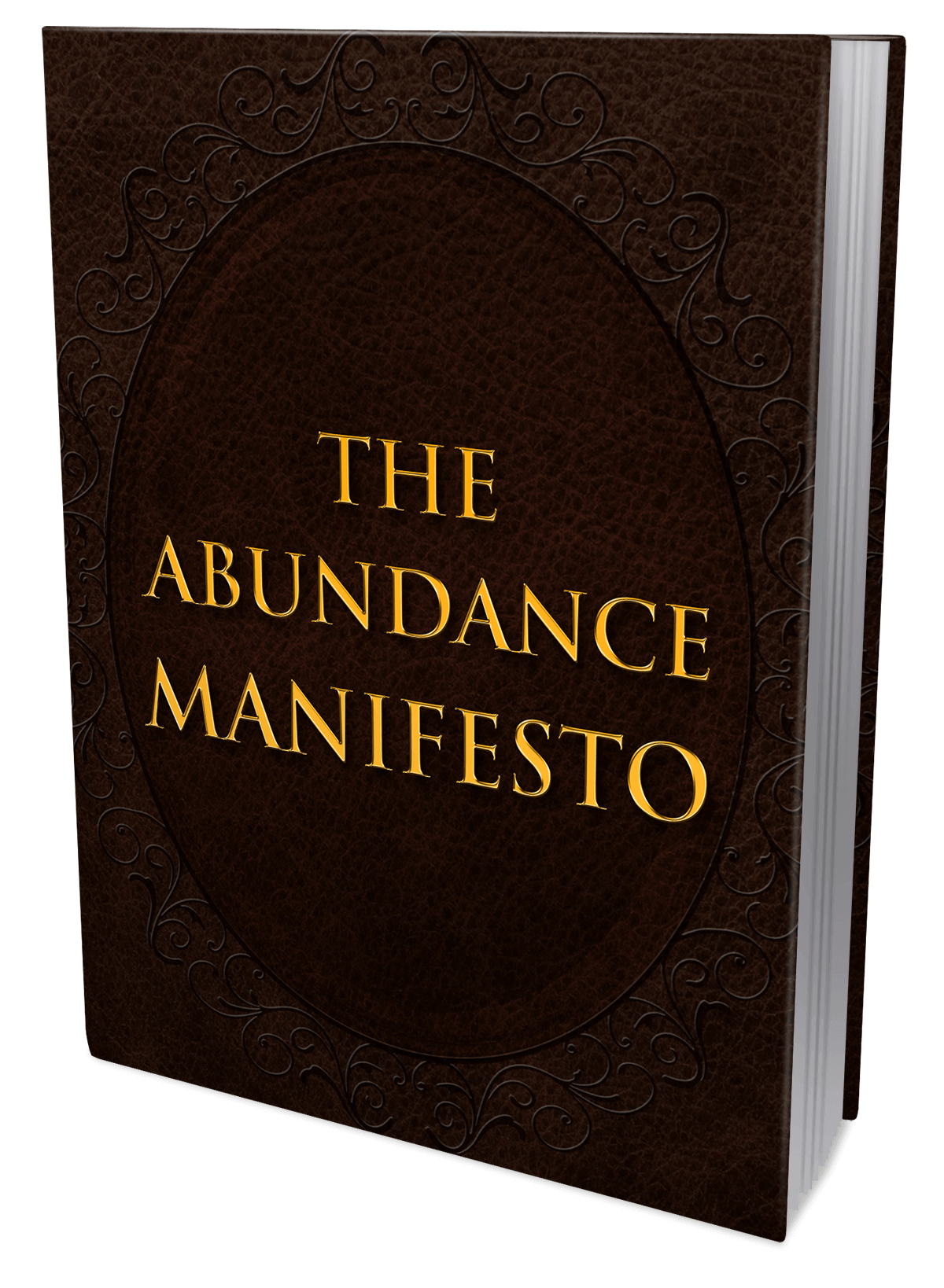 The Abundance Manifesto eBook