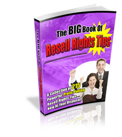 The Big Book Of Resell Rights Tips eBook