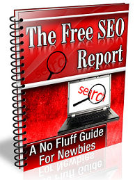 The Free SEO Report eBook