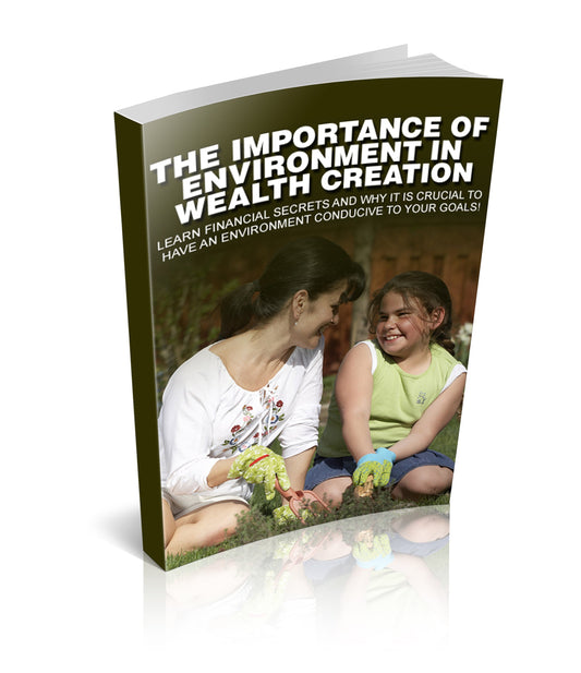 The Importance Of Environment In Wealth Creation eBook