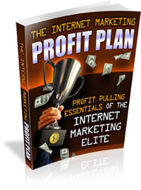 The Internet Marketing Profit Plan eBook