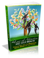 The Law of Attraction and Your Wealth eBook