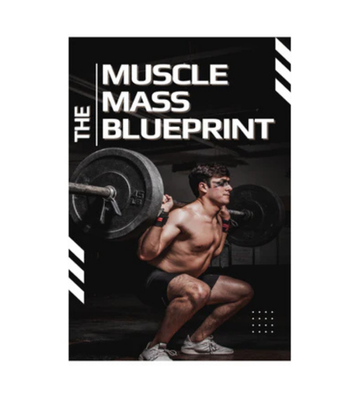 The Muscle Mass Blueprint eBook