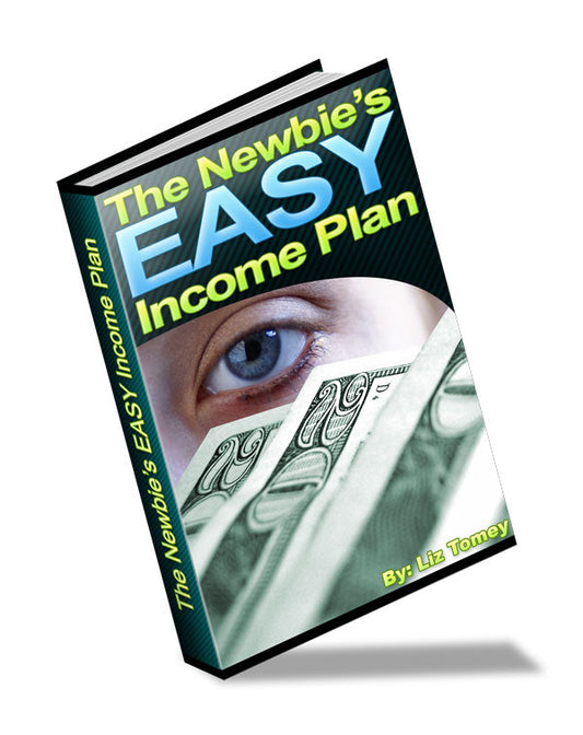 The Newbies Easy Income Plan eBook