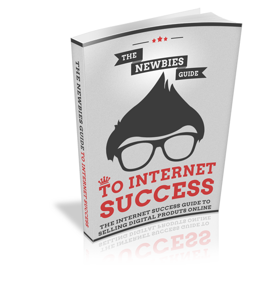The Newbies Guide To Internet Success eBook