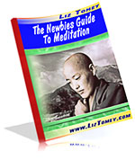 The Newbies Guide To Meditation eBook