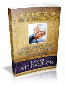 The Power Of The Entrepreneur's Mind eBook