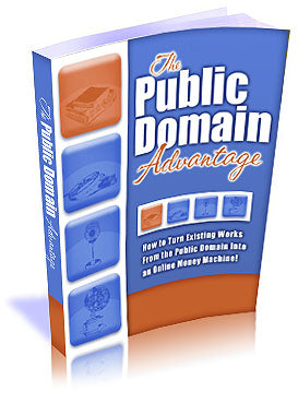 The Public Domain Advantage eBook