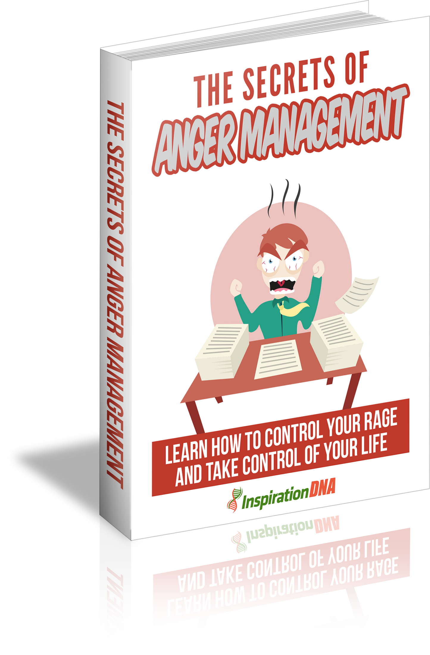 The Secrets Of Anger Management eBook