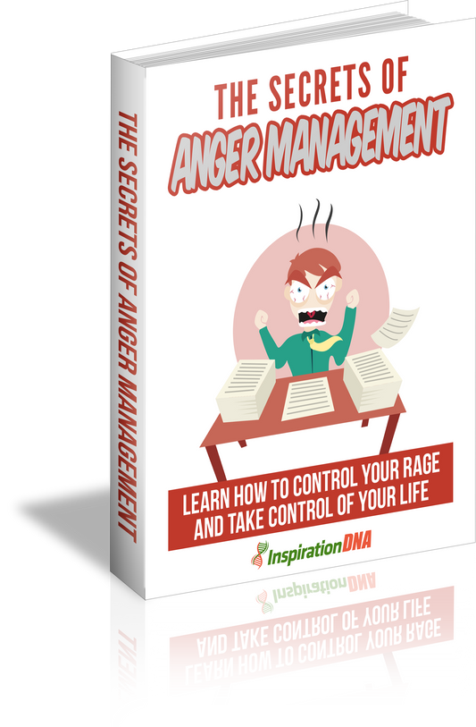 The Secrets Of Anger Management eBook