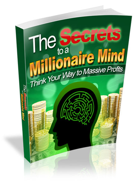 The Secrets To a Millionaire Mind eBook