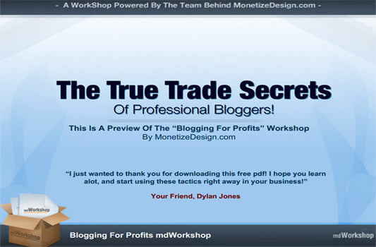 The True Trade Secrets Of Professional Bloggers eBook