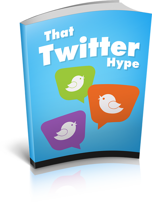 The Twitter Craze eBook