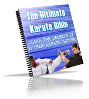 The Ultimate Karate Bible eBook