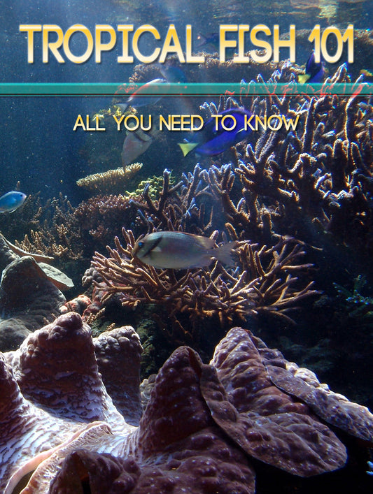 Tropical Fish 101 eBook