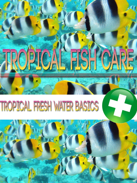 Tropical Fish Care eBook