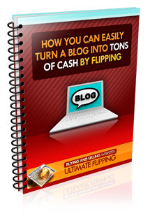 Turn A Blog Into Tons Of Cash By Flipping eBook
