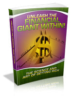 Unleash the Financial Giant Within eBook