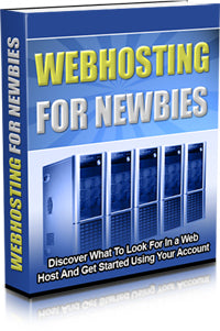 Website Hosting For Newbies eBook