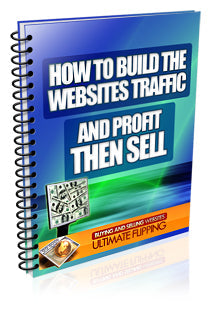 How to Build The Websites Traffic And Profit Then Sell eBook