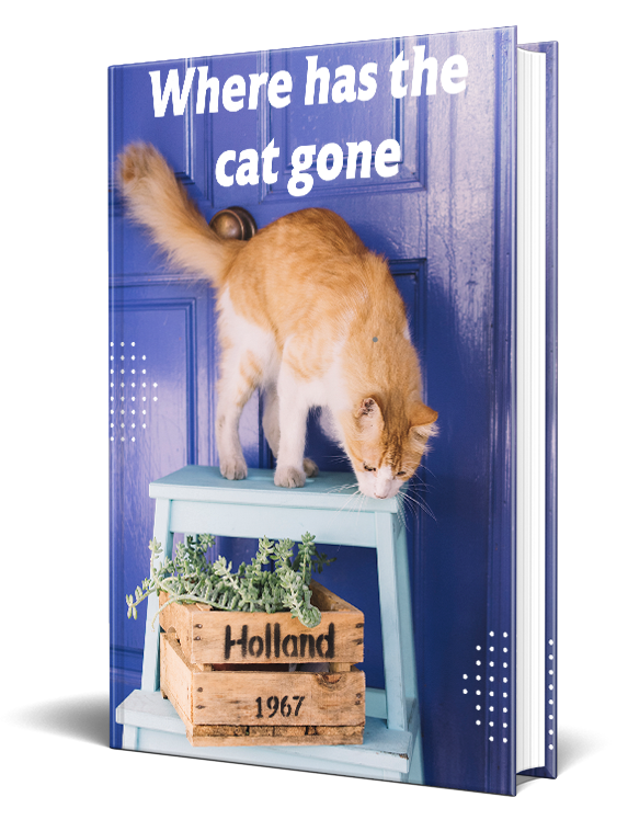 Where Has The Cat Gone Story eBook