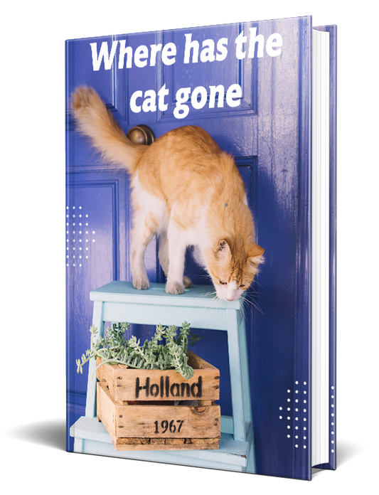 Where Has The Cat Gone Story eBook