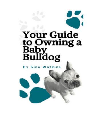 Your Guide to Owning a Baby Bulldog eBook