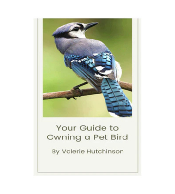 Your Guide to Owning a Pet Bird eBook