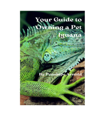 Your Guide to Owning a Pet Iguana eBook