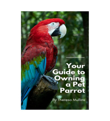 Your Guide to Owning a Pet Parrot eBook