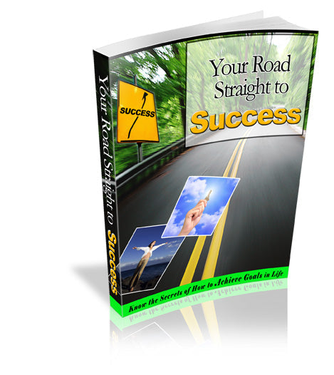 Your Road Straight To Success eBook